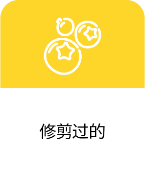 특징2