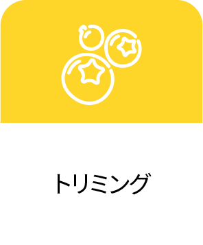 특징2